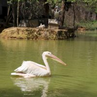 The best Zoo in Istanbul fotoğraf.
