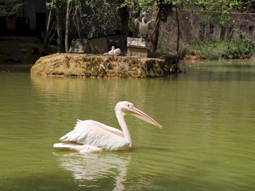 The best Zoo in Istanbul