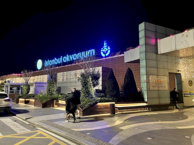 i̇stanbul akvaryum florya