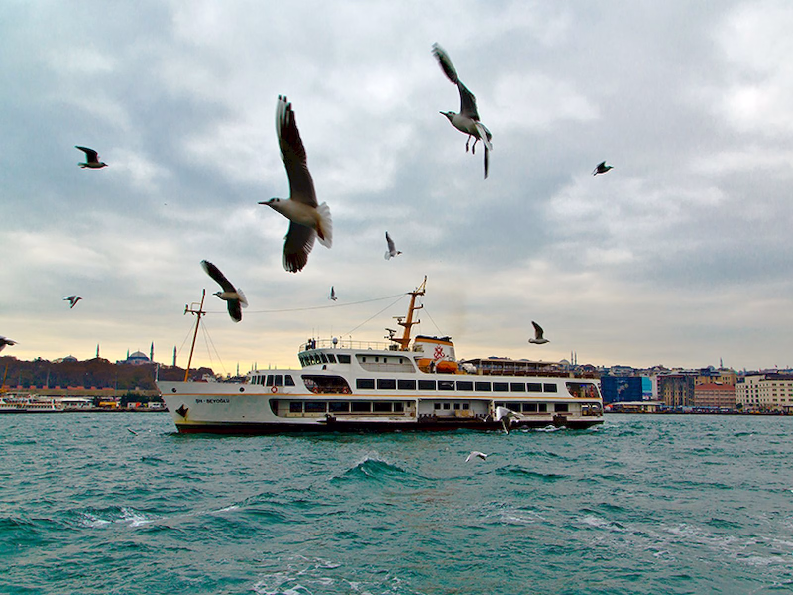 Sehir Hatlari Avcilar – Bostanci
