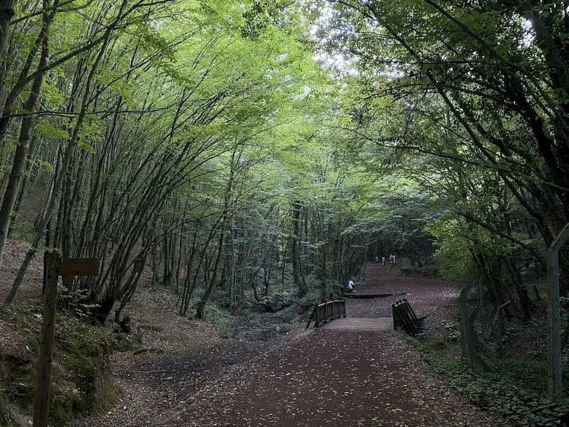 Polonezköy Tabiat Parkı