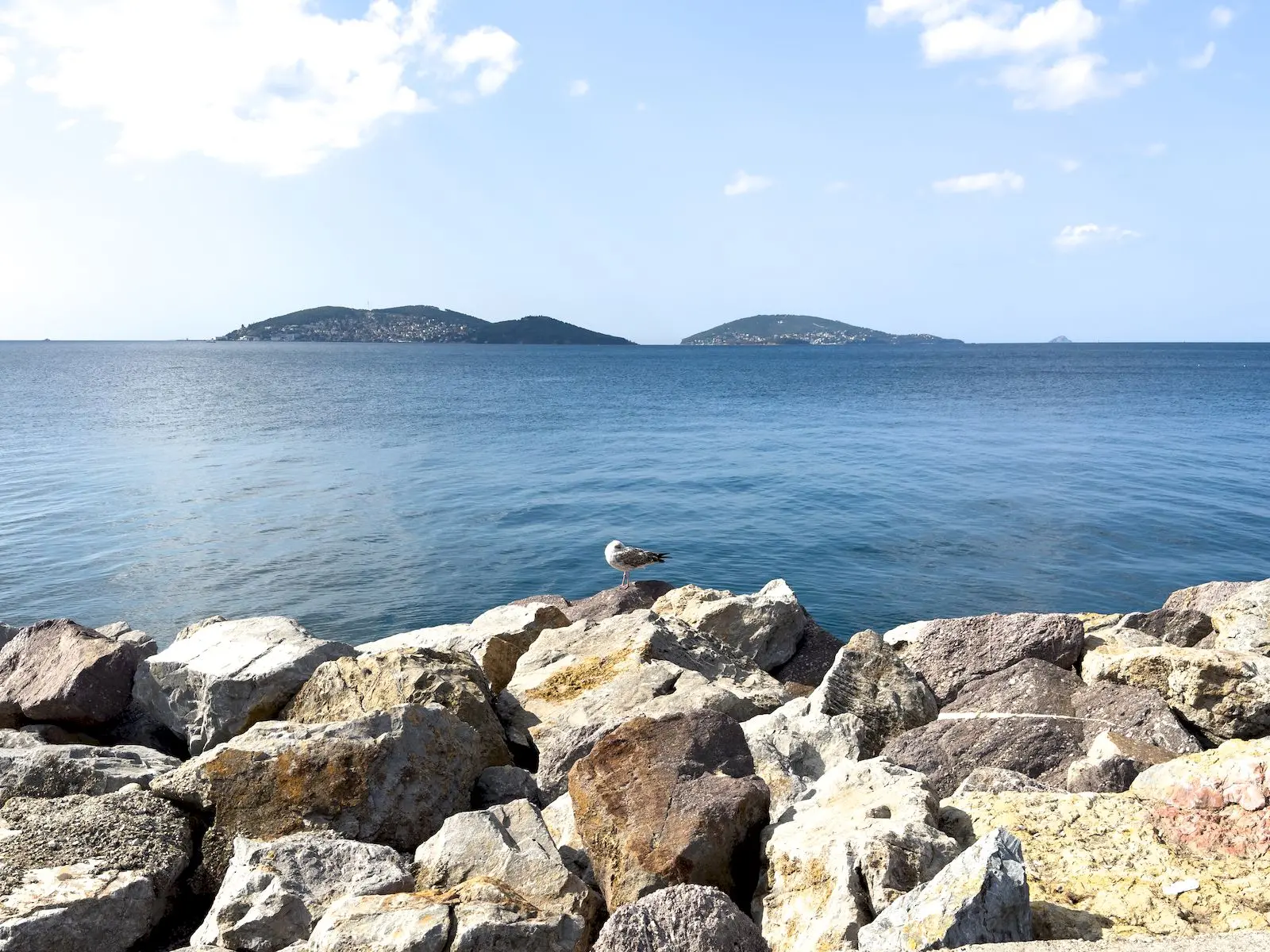 Büyükada’dan son vapur kaçta? görsel.