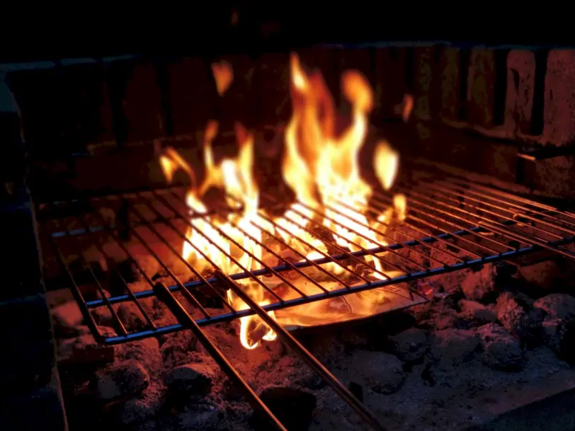 İstanbul’da mangal yasak mı? fotoğraf.