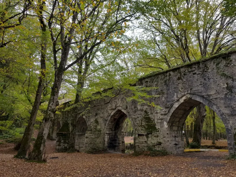 i̇stanbul'daki kent ormanları