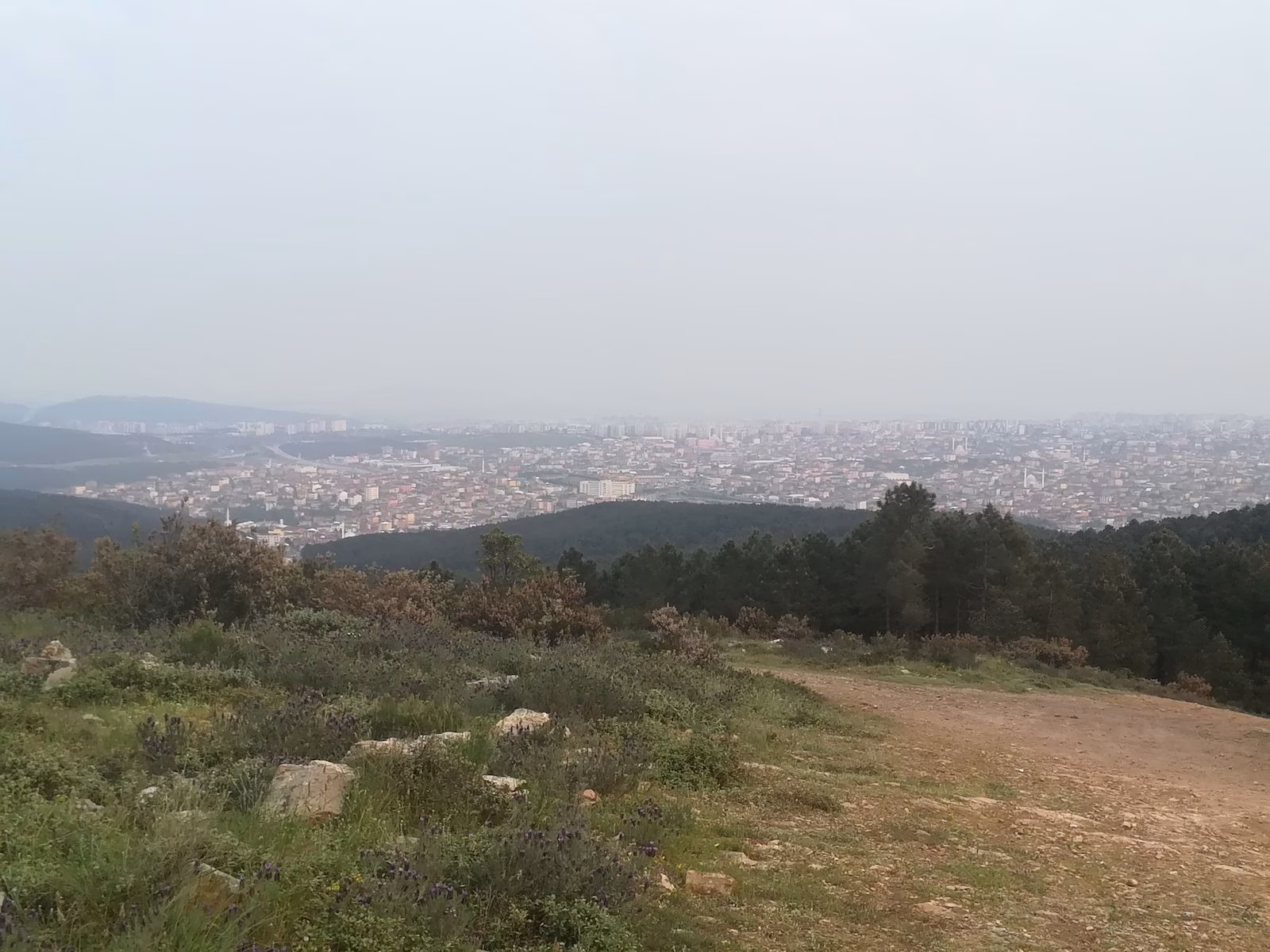 Zeytinburnu mahalle nüfusu 2025 fotoğraf.