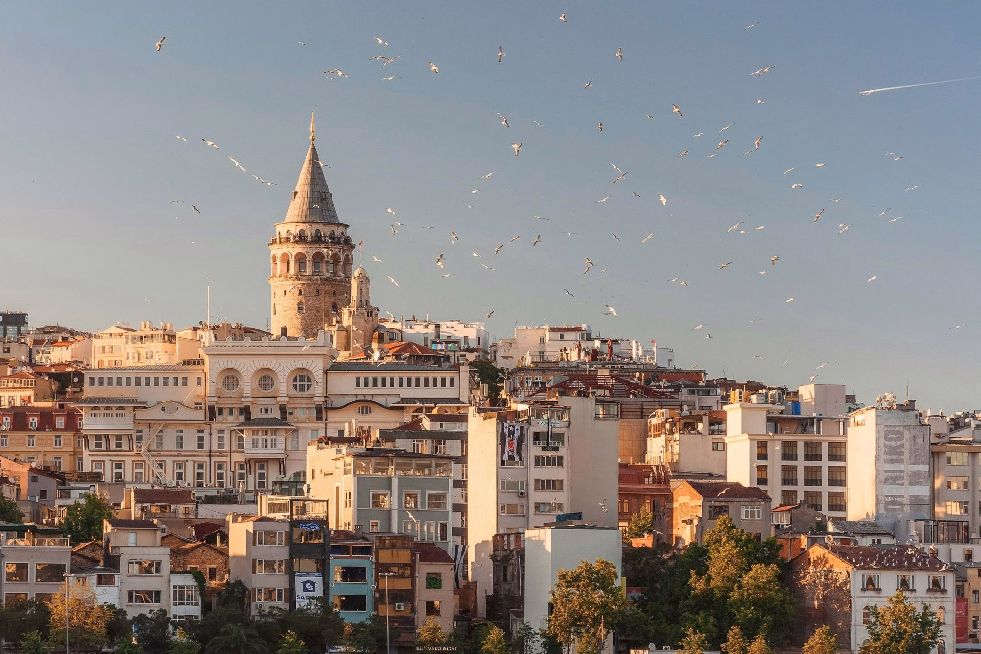 İstanbul’da En Çok Artvinli Hangi fotoğraf.